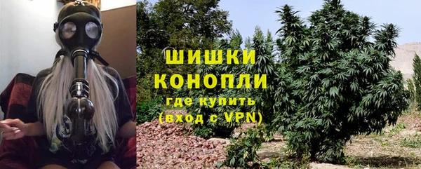 трава Бородино