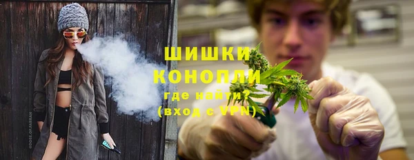 гашик Богданович