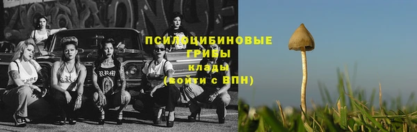 гашик Богданович