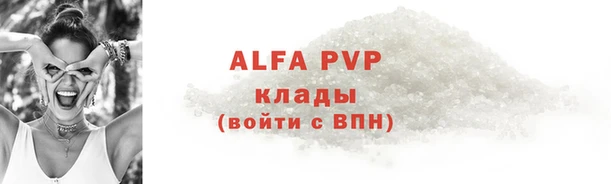 гашик Богданович