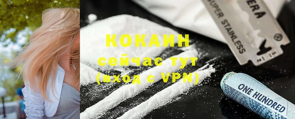дмт Богородск