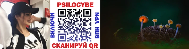 Псилоцибиновые грибы Psilocybe  blacksprut ССЫЛКА  Юрьевец 
